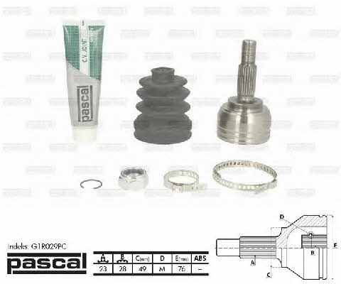 Pascal G1R029PC Constant velocity joint (CV joint), outer, set G1R029PC: Buy near me in Poland at 2407.PL - Good price!