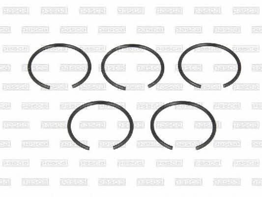 Pascal CIR G1W05PC Locking Ring, fuel pump CIRG1W05PC: Buy near me at 2407.PL in Poland at an Affordable price!