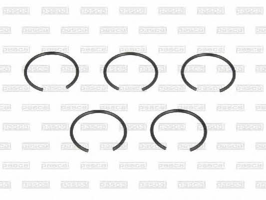 Pascal CIR G1W03PC Locking Ring, fuel pump CIRG1W03PC: Buy near me at 2407.PL in Poland at an Affordable price!