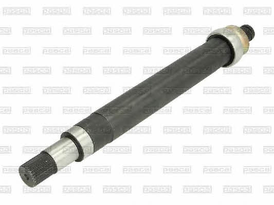 Pascal G8G008PC Intermediate shaft G8G008PC: Buy near me in Poland at 2407.PL - Good price!