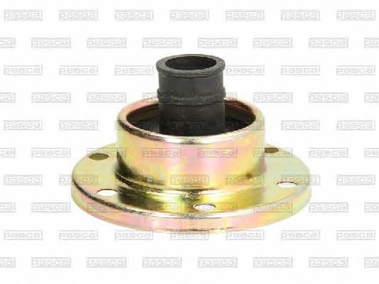 Pascal G5Y001PC CV joint boot outer G5Y001PC: Buy near me in Poland at 2407.PL - Good price!