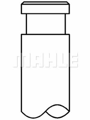 Mahle/Perfect circle 640 VE 30644 100 Einlassventil 640VE30644100: Kaufen Sie zu einem guten Preis in Polen bei 2407.PL!