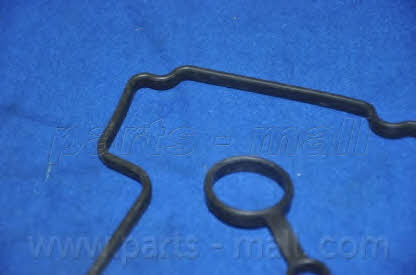 PMC P1G-C019 Gasket, cylinder head cover P1GC019: Buy near me in Poland at 2407.PL - Good price!