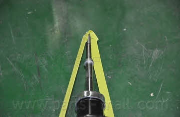 PMC PJA-R047 Shock absorber assy PJAR047: Buy near me in Poland at 2407.PL - Good price!