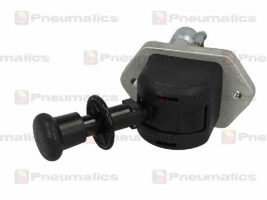 Kaufen Sie Pneumatics PN-10098 zu einem günstigen Preis in Polen!