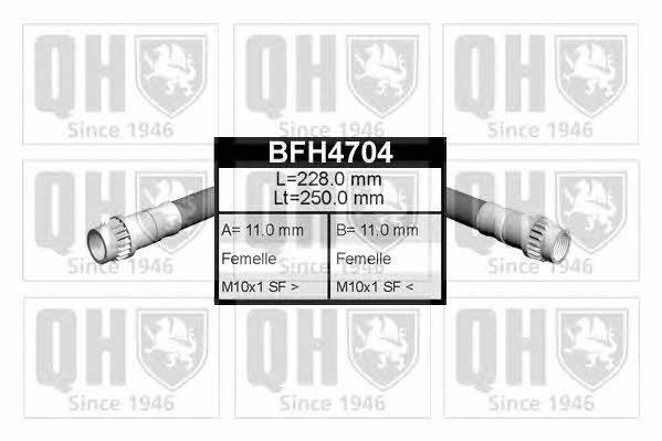Quinton Hazell BFH4704 Гальмівний шланг BFH4704: Приваблива ціна - Купити у Польщі на 2407.PL!