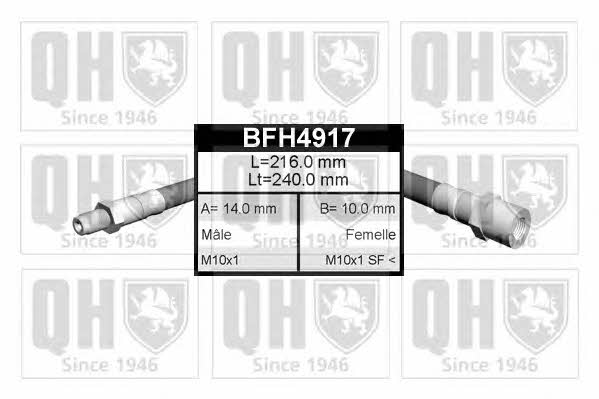 Quinton Hazell BFH4917 Bremsschlauch BFH4917: Kaufen Sie zu einem guten Preis in Polen bei 2407.PL!