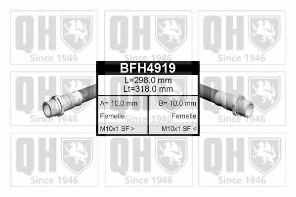 Quinton Hazell BFH4919 Bremsschlauch BFH4919: Kaufen Sie zu einem guten Preis in Polen bei 2407.PL!