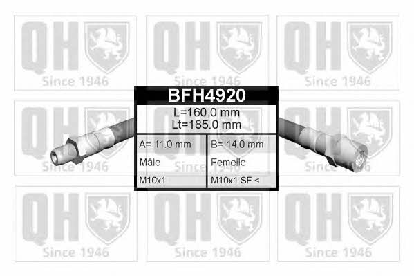 Quinton Hazell BFH4920 Bremsschlauch BFH4920: Kaufen Sie zu einem guten Preis in Polen bei 2407.PL!