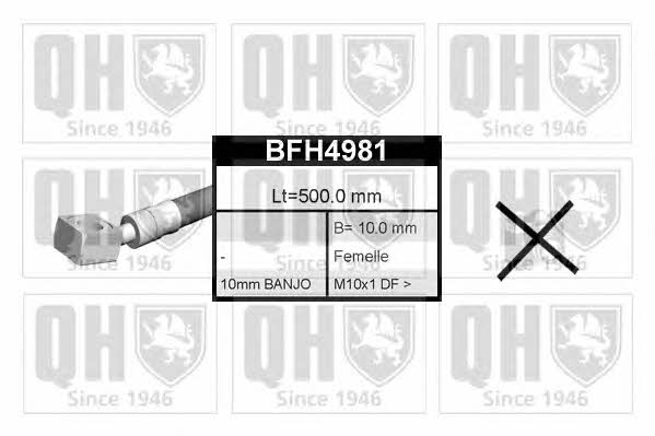 Quinton Hazell BFH4981 Przewód hamulcowy elastyczny BFH4981: Dobra cena w Polsce na 2407.PL - Kup Teraz!