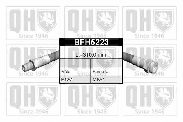 Quinton Hazell BFH5223 Przewód giętki sprzęgła BFH5223: Dobra cena w Polsce na 2407.PL - Kup Teraz!