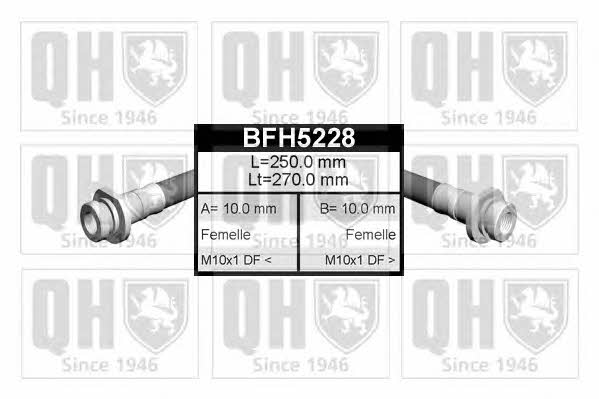 Quinton Hazell BFH5228 Bremsschlauch BFH5228: Kaufen Sie zu einem guten Preis in Polen bei 2407.PL!