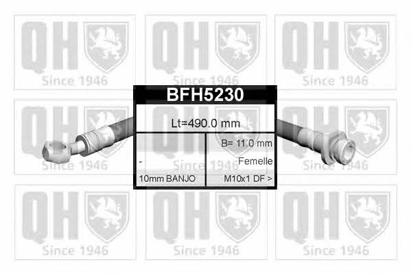Quinton Hazell BFH5230 Bremsschlauch BFH5230: Kaufen Sie zu einem guten Preis in Polen bei 2407.PL!