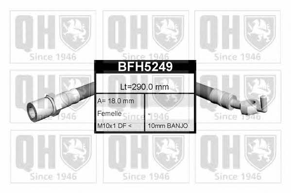 Quinton Hazell BFH5249 Bremsschlauch BFH5249: Kaufen Sie zu einem guten Preis in Polen bei 2407.PL!