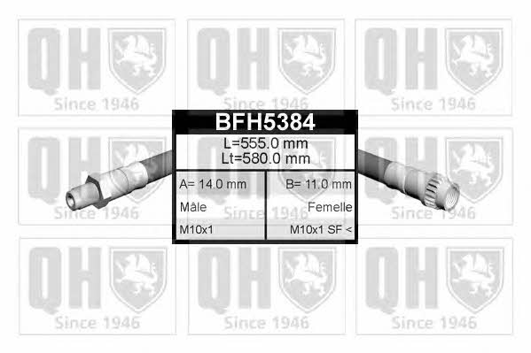 Quinton Hazell BFH5384 Bremsschlauch BFH5384: Kaufen Sie zu einem guten Preis in Polen bei 2407.PL!