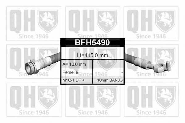 Quinton Hazell BFH5490 Przewód hamulcowy elastyczny BFH5490: Dobra cena w Polsce na 2407.PL - Kup Teraz!