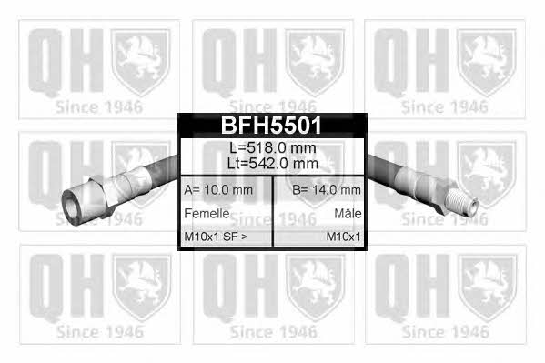 Quinton Hazell BFH5501 Гальмівний шланг BFH5501: Приваблива ціна - Купити у Польщі на 2407.PL!