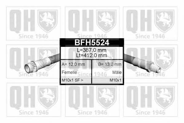 Quinton Hazell BFH5524 Przewód hamulcowy elastyczny BFH5524: Dobra cena w Polsce na 2407.PL - Kup Teraz!