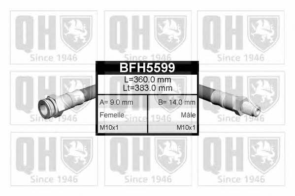 Quinton Hazell BFH5599 Przewód hamulcowy elastyczny BFH5599: Dobra cena w Polsce na 2407.PL - Kup Teraz!