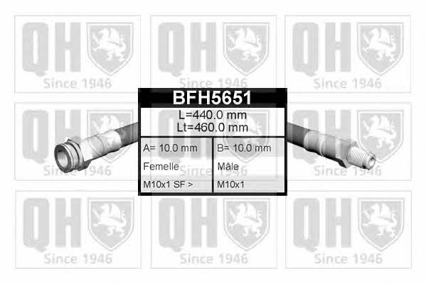 Quinton Hazell BFH5651 Przewód hamulcowy elastyczny BFH5651: Dobra cena w Polsce na 2407.PL - Kup Teraz!