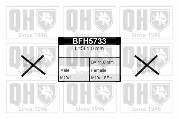 Quinton Hazell BFH5733 Przewód hamulcowy elastyczny BFH5733: Dobra cena w Polsce na 2407.PL - Kup Teraz!