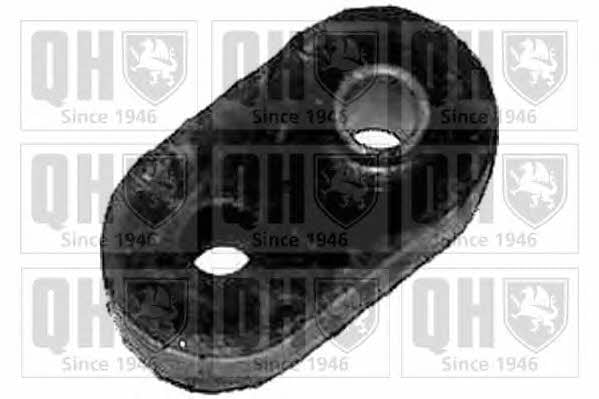 Quinton Hazell EMB2024 Front stabilizer bush EMB2024: Buy near me in Poland at 2407.PL - Good price!