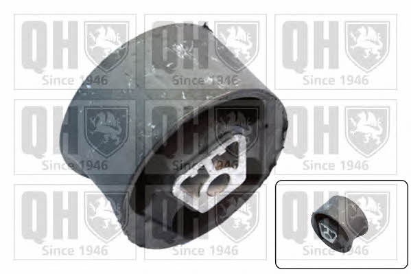 Quinton Hazell EM4361 Engine mount, rear right EM4361: Buy near me in Poland at 2407.PL - Good price!