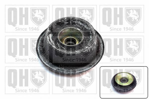Quinton Hazell EMA1796 Strut bearing with bearing kit EMA1796: Buy near me in Poland at 2407.PL - Good price!