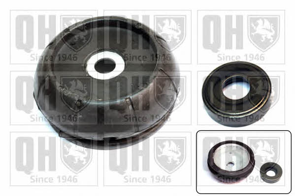 Quinton Hazell EMA1923 Strut bearing with bearing kit EMA1923: Buy near me in Poland at 2407.PL - Good price!