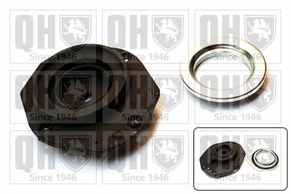 Quinton Hazell EMA2275 Strut bearing with bearing kit EMA2275: Buy near me at 2407.PL in Poland at an Affordable price!