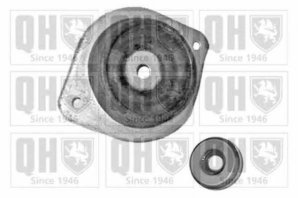 Quinton Hazell EMA2284 Strut bearing with bearing kit EMA2284: Buy near me in Poland at 2407.PL - Good price!