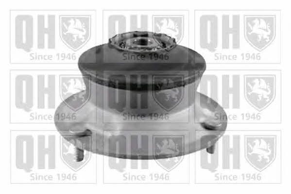 Quinton Hazell EMA5031 Strut bearing with bearing kit EMA5031: Buy near me in Poland at 2407.PL - Good price!