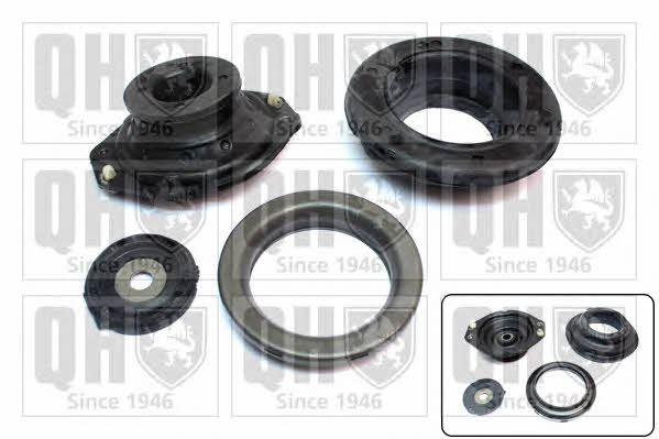 Quinton Hazell EMA5034 Strut bearing with bearing kit EMA5034: Buy near me at 2407.PL in Poland at an Affordable price!