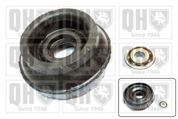 Quinton Hazell EMA5035 Strut bearing with bearing kit EMA5035: Buy near me in Poland at 2407.PL - Good price!