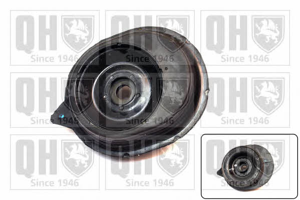 Quinton Hazell EMA5038 Strut bearing with bearing kit EMA5038: Buy near me at 2407.PL in Poland at an Affordable price!