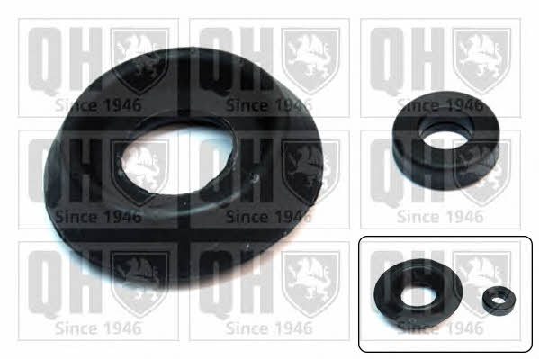 Quinton Hazell EMA5043 Strut bearing with bearing kit EMA5043: Buy near me in Poland at 2407.PL - Good price!