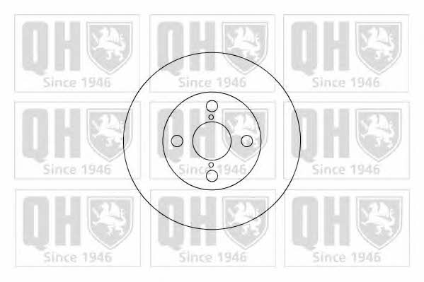 Quinton Hazell BDC4917 Тормозной диск задний невентилируемый BDC4917: Отличная цена - Купить в Польше на 2407.PL!