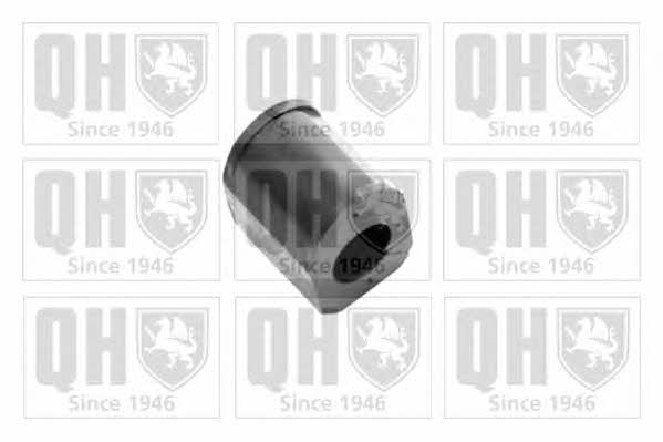 Quinton Hazell EMB7170 Front stabilizer bush EMB7170: Buy near me in Poland at 2407.PL - Good price!