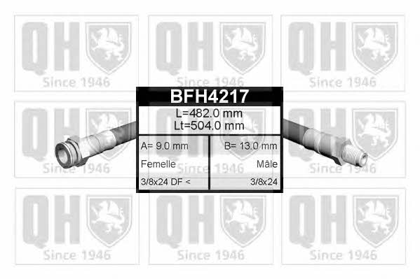 Quinton Hazell BFH4217 Przewód hamulcowy elastyczny BFH4217: Dobra cena w Polsce na 2407.PL - Kup Teraz!