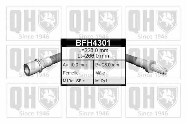 Quinton Hazell BFH4301 Przewód hamulcowy elastyczny BFH4301: Dobra cena w Polsce na 2407.PL - Kup Teraz!