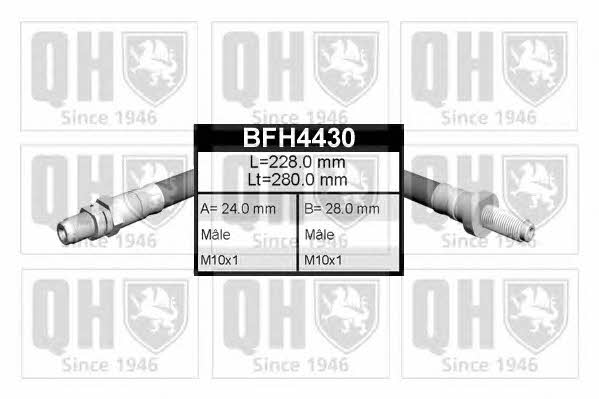 Quinton Hazell BFH4430 Bremsschlauch BFH4430: Kaufen Sie zu einem guten Preis in Polen bei 2407.PL!
