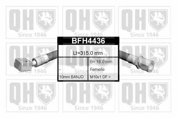 Quinton Hazell BFH4436 Bremsschlauch BFH4436: Kaufen Sie zu einem guten Preis in Polen bei 2407.PL!