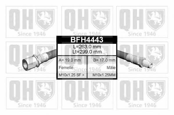 Quinton Hazell BFH4443 Bremsschlauch BFH4443: Kaufen Sie zu einem guten Preis in Polen bei 2407.PL!