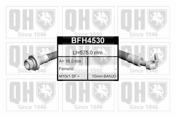 Quinton Hazell BFH4530 Bremsschlauch BFH4530: Kaufen Sie zu einem guten Preis in Polen bei 2407.PL!
