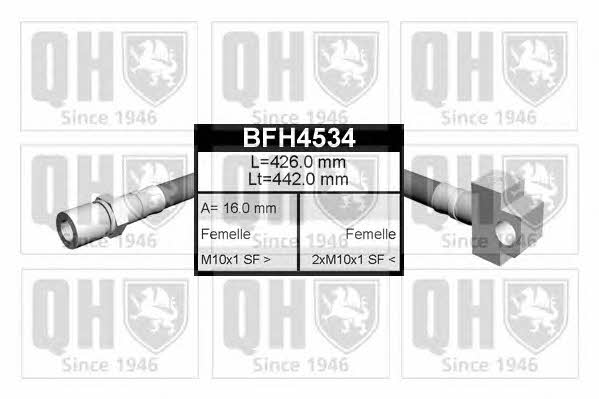 Quinton Hazell BFH4534 Bremsschlauch BFH4534: Kaufen Sie zu einem guten Preis in Polen bei 2407.PL!