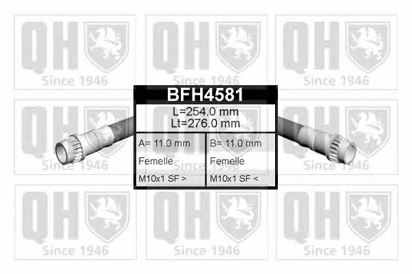 Quinton Hazell BFH4581 Przewód hamulcowy elastyczny BFH4581: Dobra cena w Polsce na 2407.PL - Kup Teraz!