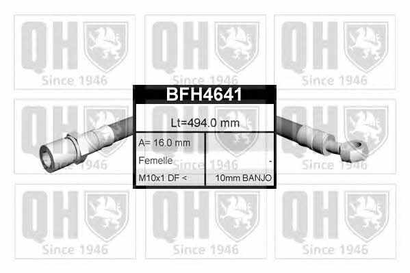 Quinton Hazell BFH4641 Przewód hamulcowy elastyczny BFH4641: Dobra cena w Polsce na 2407.PL - Kup Teraz!