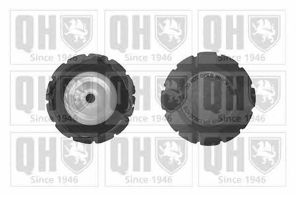 Quinton Hazell FC517 Крышка бачка расширительного FC517: Отличная цена - Купить в Польше на 2407.PL!