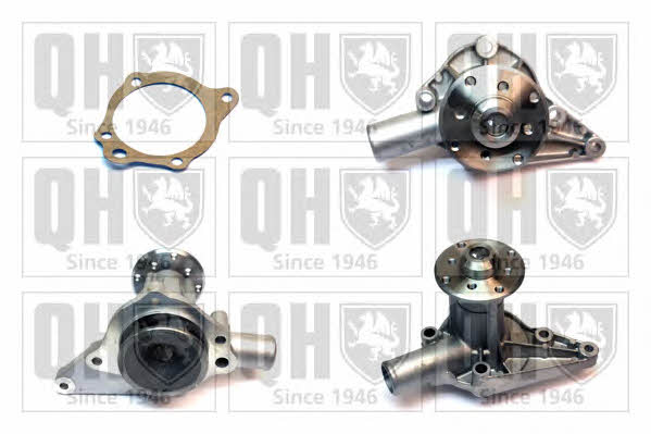 Quinton Hazell QCP556 Water pump QCP556: Buy near me in Poland at 2407.PL - Good price!