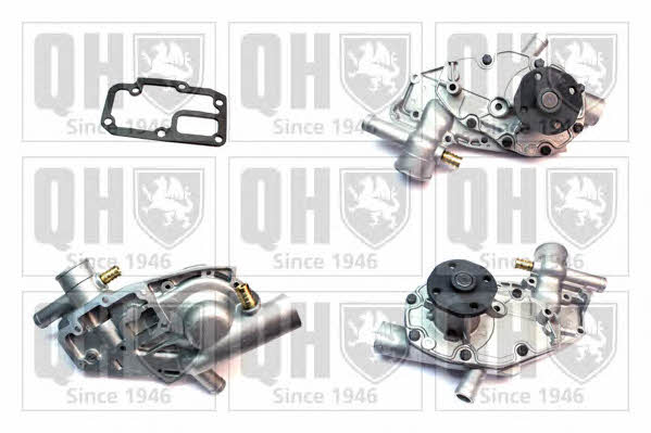 Quinton Hazell QCP769BH Water pump QCP769BH: Buy near me in Poland at 2407.PL - Good price!